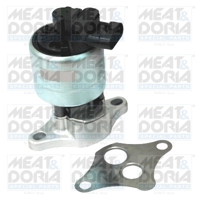 EGR Valve
